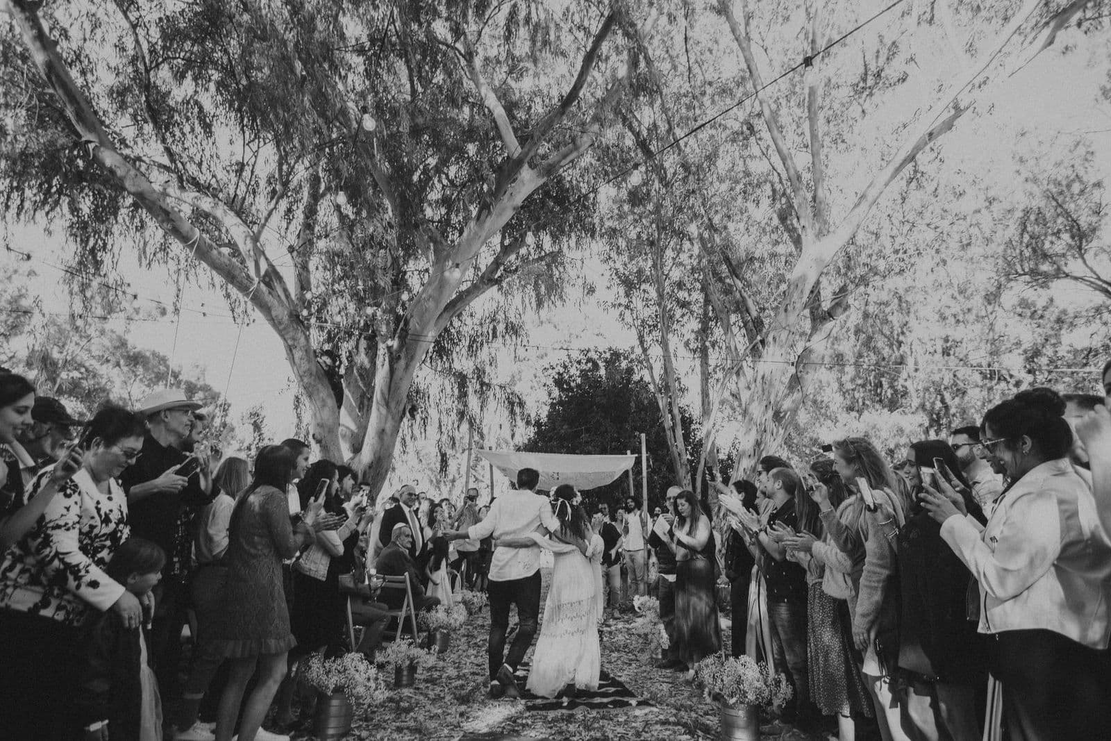 Guests gathered beneath the trees for an outdoor ceremony