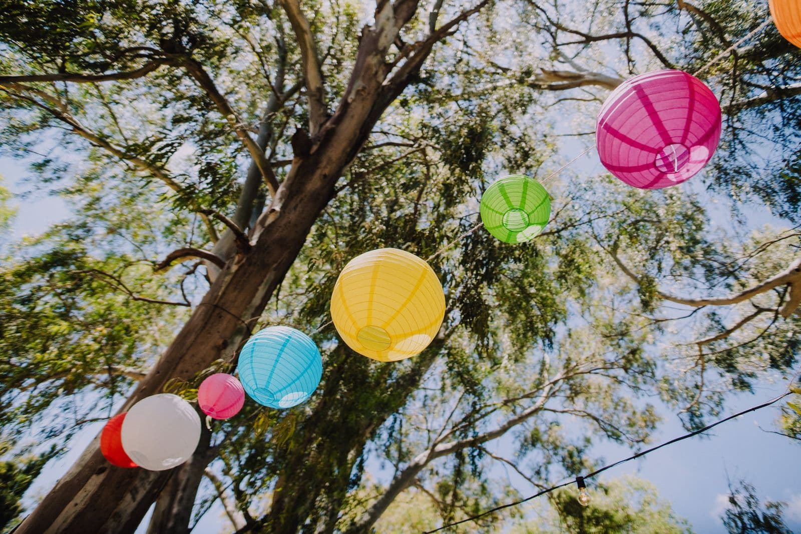 Paper lanterns and balloons strung high in the tree canopy