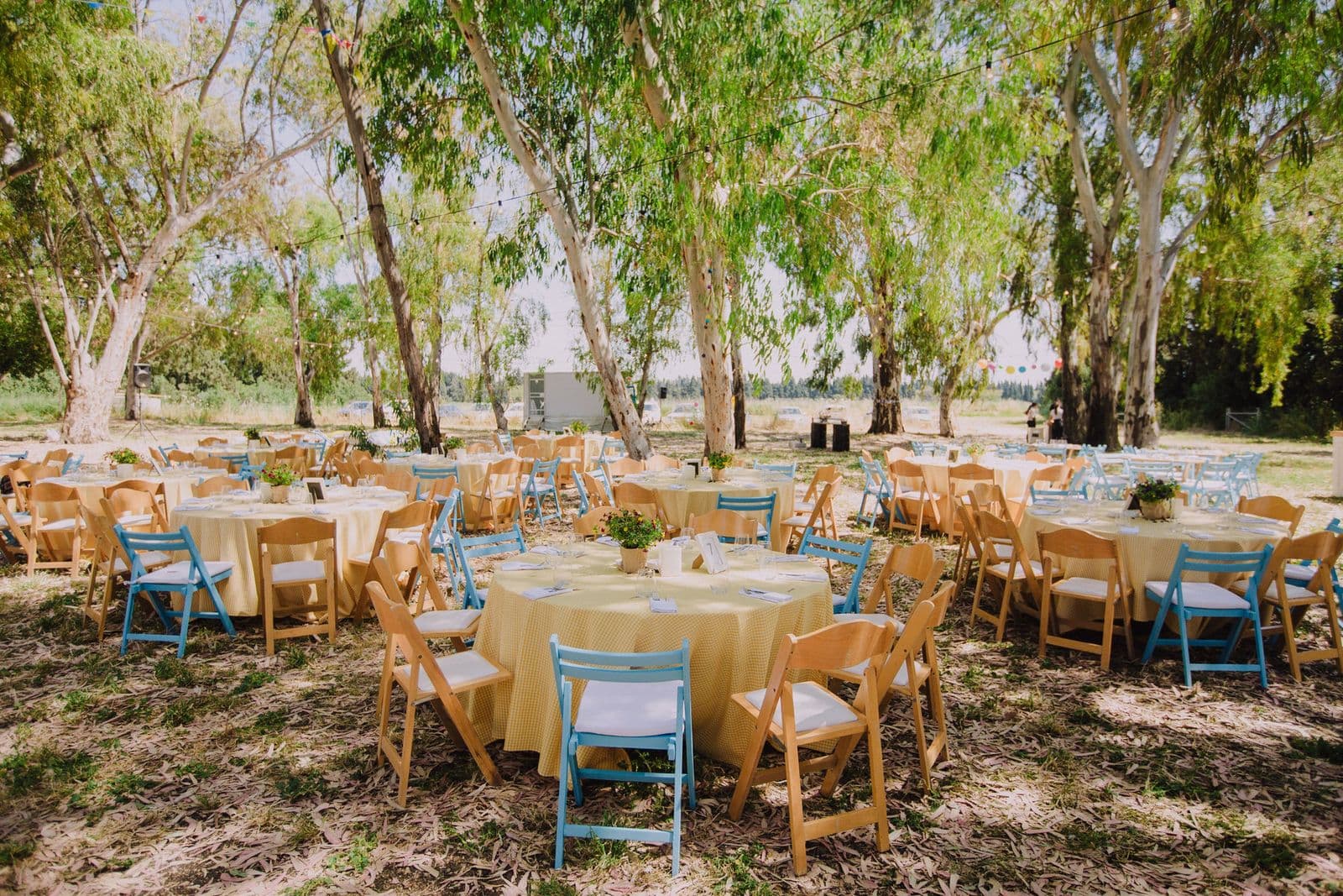 Round tables with yellow cloths and blue chairs set in a forest clearing
